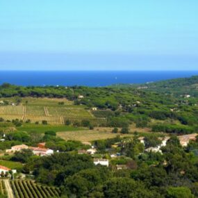 ramatuelle-plaine-0.5-photo-bertrand-570×425-1